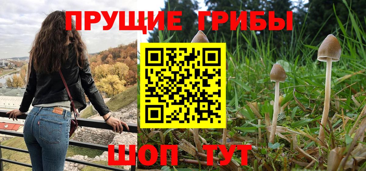Галлюциногенные грибы мухоморы Семилуки